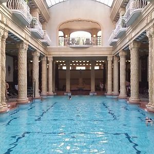 Standaard Appartement